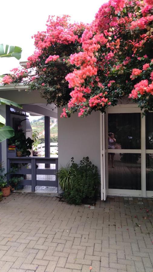 Casa Deni Villa Nova Petropolis Ngoại thất bức ảnh