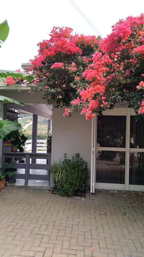 Casa Deni Villa Nova Petropolis Ngoại thất bức ảnh